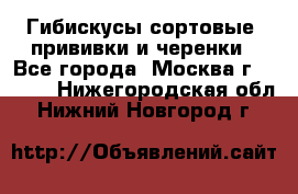 Гибискусы сортовые, прививки и черенки - Все города, Москва г.  »    . Нижегородская обл.,Нижний Новгород г.